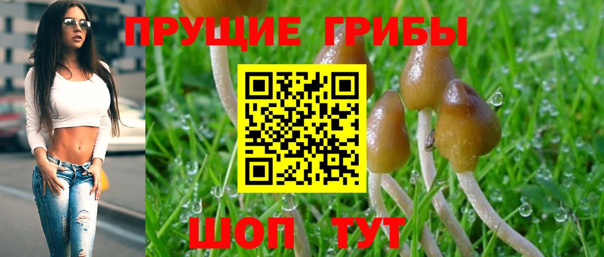 Галлюциногенные грибы Magic Shrooms Миллерово